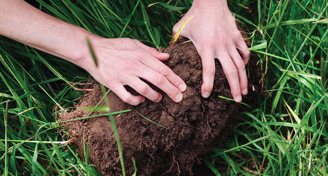 Hands Digging in dirt