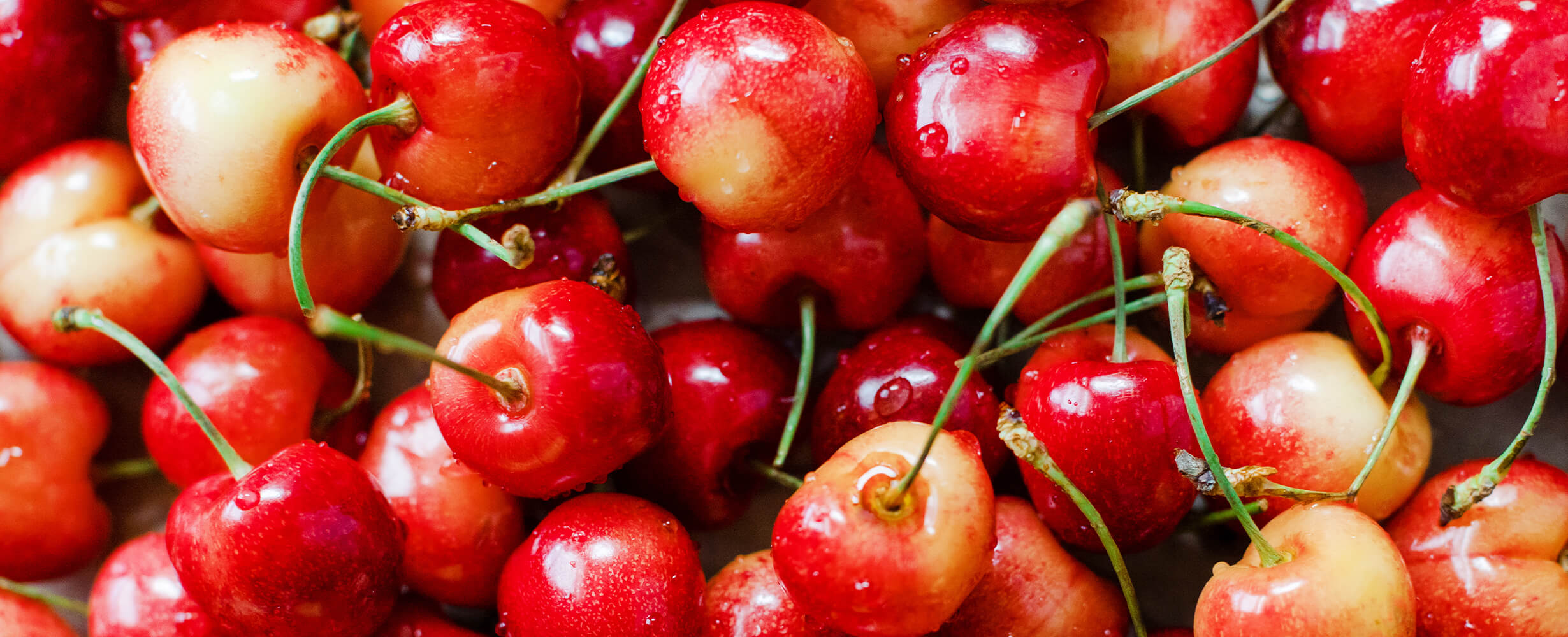 A group of rainier cherries