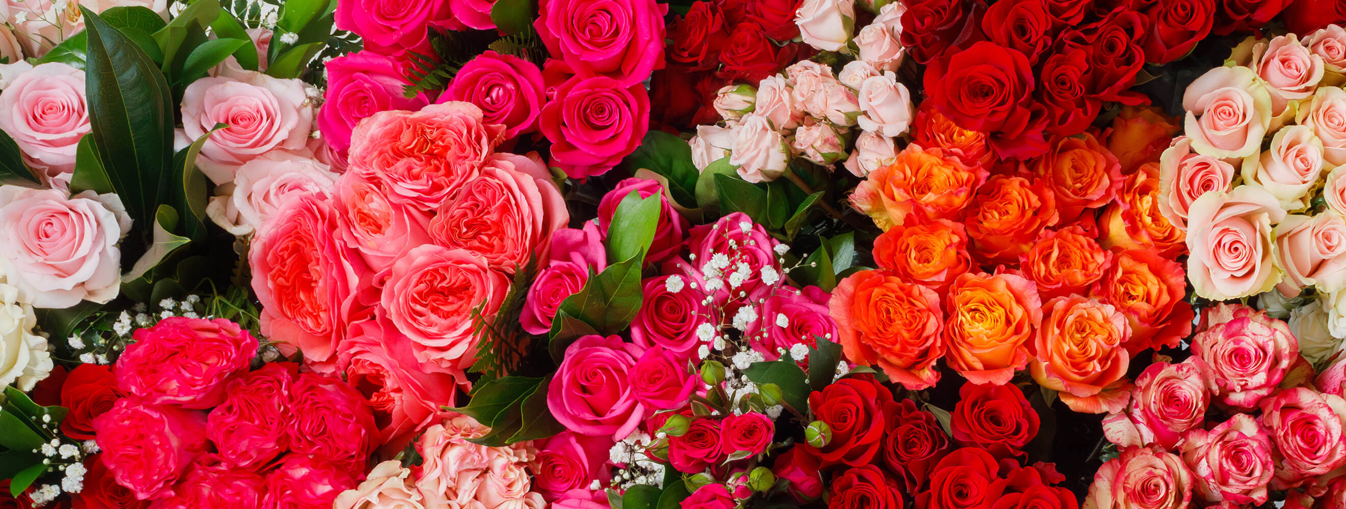 various fresh flowers displayed in shades of red, pink and orange