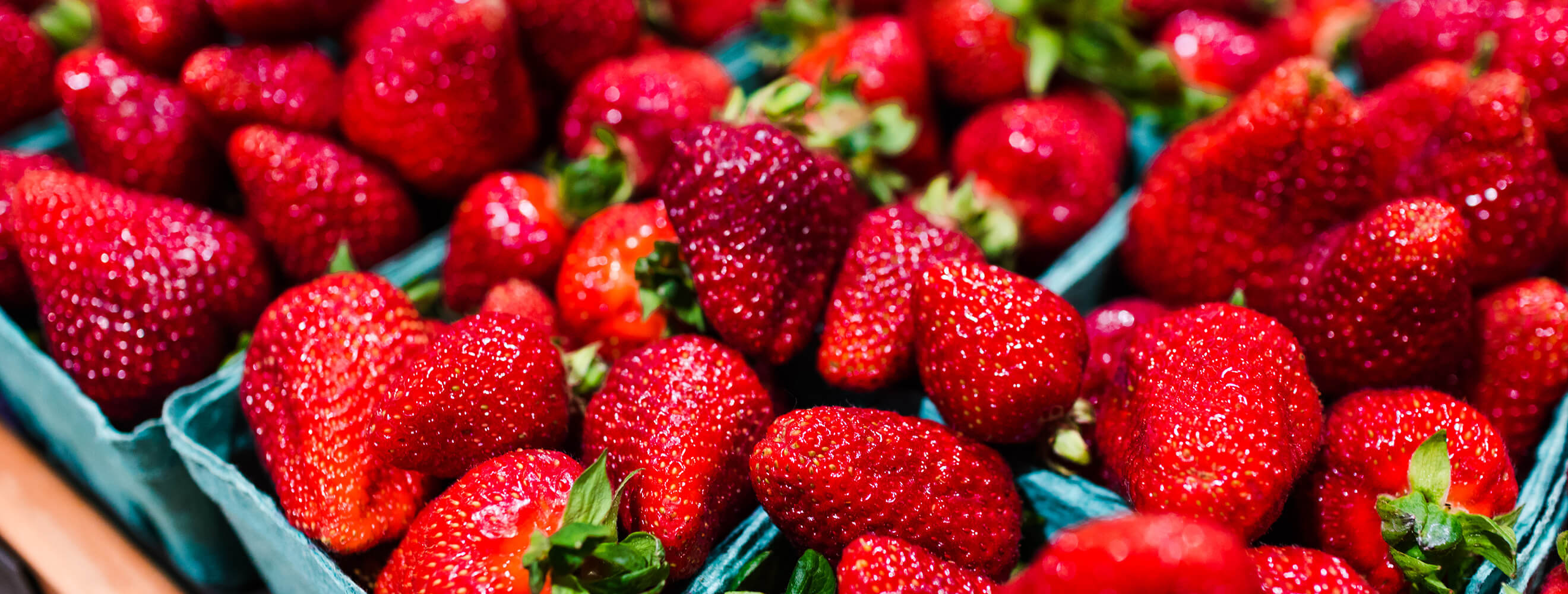 fresh pints of strawberries