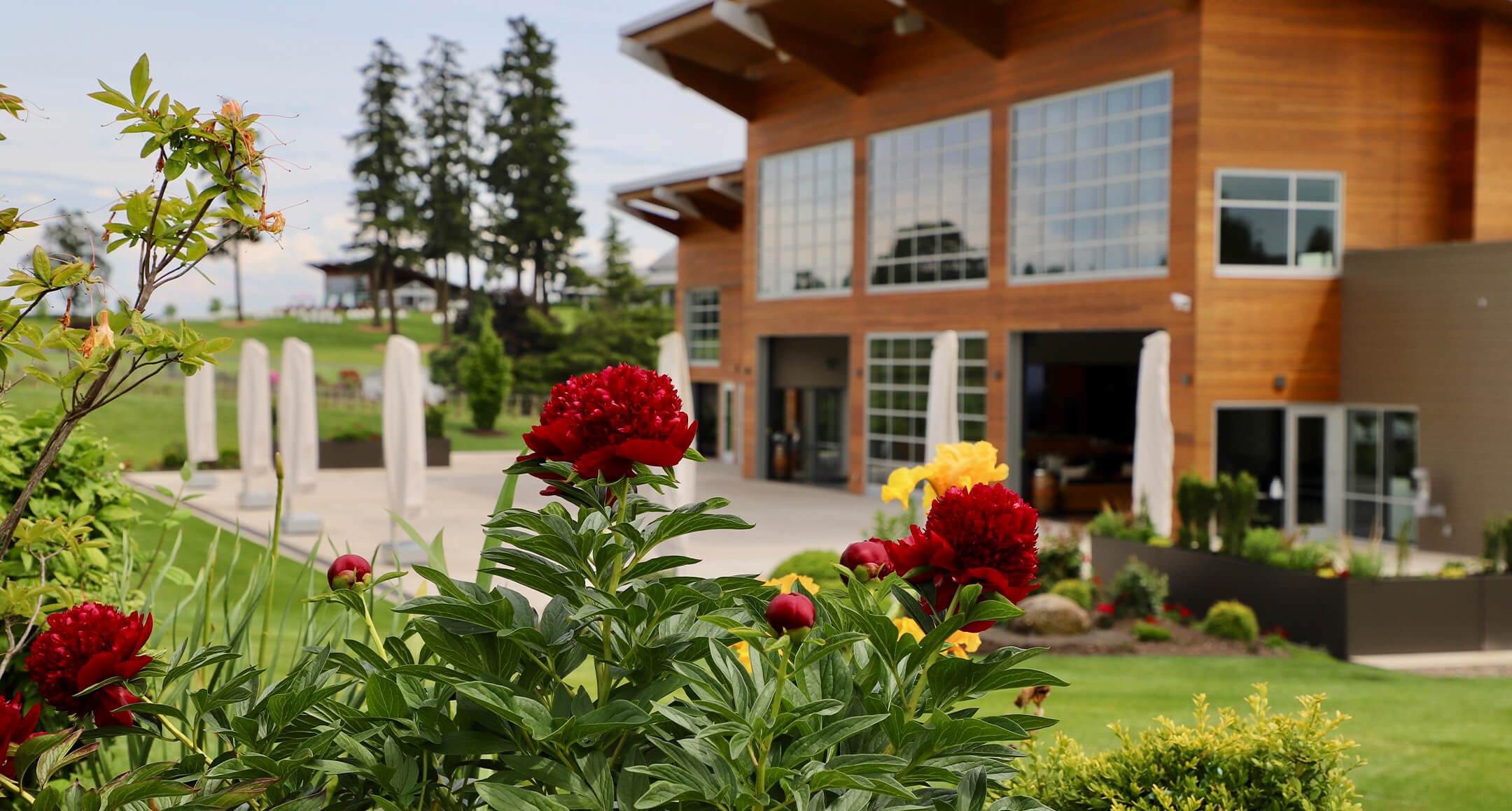 Flowers on the pollinator wall in front of the Stoller Experience center